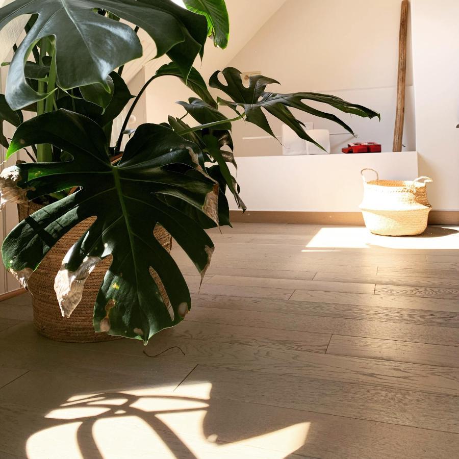 Maison D'Artiste Gent Ngoại thất bức ảnh